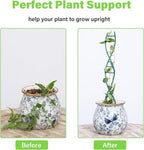 Indoor Plant Trellis - DNA Spiral Design Metal Trellis for Potted Plants, Stylish Climbing Support for Small Houseplants, Durable & Easy to Install Garden Upgrade for Vining Plants
