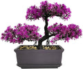 Bonsai Tree, Artificial Plants, Artificial Bonsai Tree Juniper Faux Plants, Indoor Small Fake Plants Decor for Home Bedroom Office Desk Farmhouse Decor(Color:Rose Red)