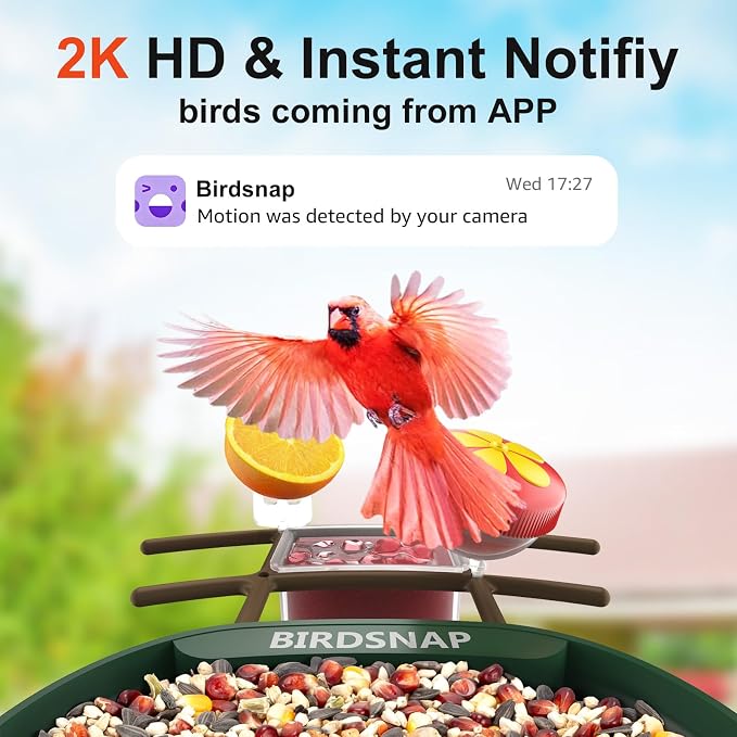 birdsnap® PAV-Bird Feeder with Camera,2K HD with 32GB Card, AI Identify Smart Bird House Cam Solar Panel,Live Stream,Motion Detection,Auto Record Video for Backyard Outdoors,Ideal Gift for Bird Lover