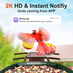birdsnap® PAV-Bird Feeder with Camera,2K HD with 32GB Card, AI Identify Smart Bird House Cam Solar Panel,Live Stream,Motion Detection,Auto Record Video for Backyard Outdoors,Ideal Gift for Bird Lover