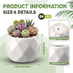 24 Pack 2.5 Inch Mini Succulent Plant Ceramic Pot with Drainage Hole, Small Pineapple Clay Garden Planter for Succulents, Cactus, DIY Easter Spring Craft Activity(White,Fashion)