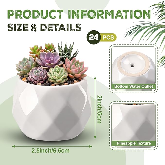 24 Pack 2.5 Inch Mini Succulent Plant Ceramic Pot with Drainage Hole, Small Pineapple Clay Garden Planter for Succulents, Cactus, DIY Easter Spring Craft Activity(White,Fashion)