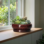 Bonsai Pots with Drainage Hole - 13 Inch Ceramic Succulent Pots, Large Succulent Planter with Saucer, Shallow Planter Indoor Outdoor, Round Planter Bowl, Apartment Decor, Garden Gifts, Red