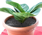 Newtay 4 Pcs Plant Pot Grid Soil Protector Covers Cuttable Flower Protector from Animals Cat Squirrel Digging Stopper Plant Pot Cover with Stake for Indoor Outdoor Gardening (20.5 +11.8 Inch,Black)