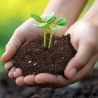 Doter Seed Starter Potting Soil Mix 4qt, Seed Starting Mix for Germination and Growth, Loamy Compost Well-Drainaged Soil Fit for Vegetable, Flower, houseplant