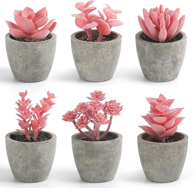 DomeStar Set of 6 Artificial Succulent Plants Potted, Assorted Decorative Pink Faux Succulent Potted Fake Cactus Cacti Plants with Pots