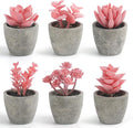 DomeStar Set of 6 Artificial Succulent Plants Potted, Assorted Decorative Pink Faux Succulent Potted Fake Cactus Cacti Plants with Pots