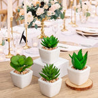 Briful Mini Fake Plants 4 Packs Assorted Artificial Succulents Plants Potted Faux Succulents Plants in Ceramic Planter Pot for Home Decor Indoor Bathroom Shelf Tabletop