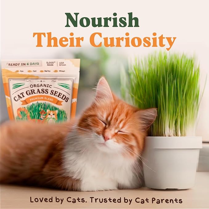 Seedboy Organic Cat Grass Seeds for Planting, Non-GMO Wheat, Oat, Rye, and Barley Cat Grass for Indoor Cats (16 oz)
