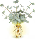 Bessol Artificial Eucalyptus Stems in Glass Vase with Faux Water, 13.5" Fake Plants for Home Decor, Coffee Table Centerpieces, Office, Bathroom & Farmhouse Weddings - Faux Greenery Plants Decorations