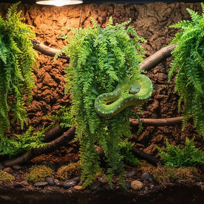 PINVNBY Reptile Plants Hanging Fake Vines Boston Climbing Terrarium Plant with Suction Cup for Bearded Dragons Lizards Crested Gecko Snake Hermit Crab and Tank Habitat Decorations (2 Pack)