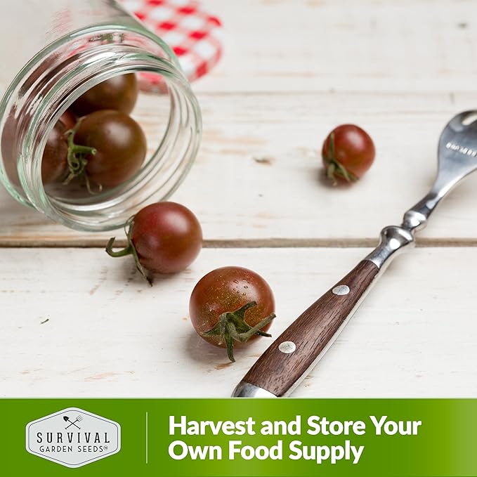 Black Cherry Tomato Seeds for Planting – Indeterminate Heirloom Non-GMO Variety – Grow High Yields of Deep Purple-Black Cherry Tomatoes with Sweet Rich Flavor – Survival Garden Seeds (2 Packs)