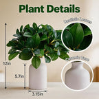 12 Inch Artificial Plant Indoor,Small Fake Plants Eucalyptus Stems With Vase,Faux Greenery In Pot For Farmhouse Home Decor,Bathroom Living Room Kitchen Office Coffee Table Centerpiece (White)