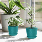 7 inch Flower Pots, 5 Pack Plant Pots with Drainage Holes and Saucers for Indoor Plants, Plastic Planters with Water Ripple for Small Garden House Plants, Nursery Pots for Succulent, Blue Green