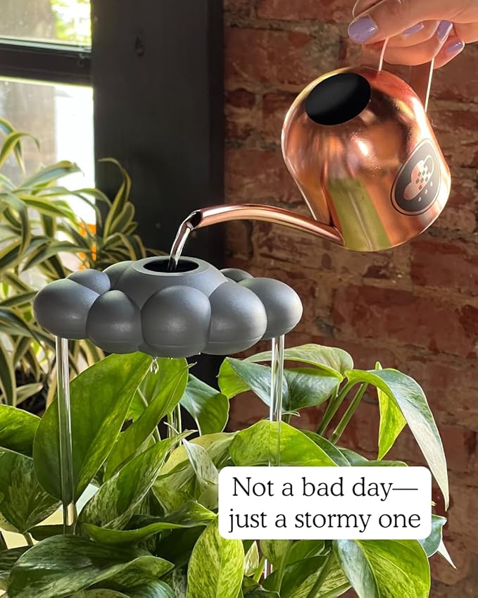 The Stormy Dripping Rain Cloud for Plants, Plant Lover Gift, Gray Cloud, Plant Acessories