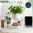 Geelin 1 Gallon Plastic Aquaponic Betta Fish Tank Aquaponic with Base and Top, Large Bowl Shatterproof Ecosystem Aquarium with Clear Clarity for Terrarium, Flower Vase Betta Fish Centerpiece Gifts