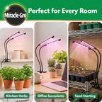 Miracle-Gro, Grow Light for Indoor Plants - 10W LED, Flexible 2-Head, Selectable Spectrum for Indoor Plants, Seeds, Herbs, Flowers, Plug-in Anywhere for Any Plant