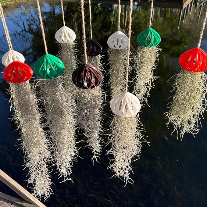 Fresh Air Plant Live Spanish Moss Houseplants Clump 10" Long to Grow, Tillandsia Air Purifying Plants Indoor for Hanging Décor