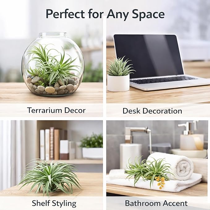 2 Pack Artificial Air Plants, Realistic Looking Faux Tillandsia Succulents for Home Decor, Indoor Outdoor Garden, Terrarium, Office Desk, Wedding Displays (Flocking)