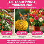 HOME GROWN Thumbelina Zinnia Seeds (1g) – 500 Dwarf Zinnia for Planting 2026, Spring Flower Seeds to Plant Outside, Easy Summer Garden Bloom for Containers & Borders (Zinnia elegans)