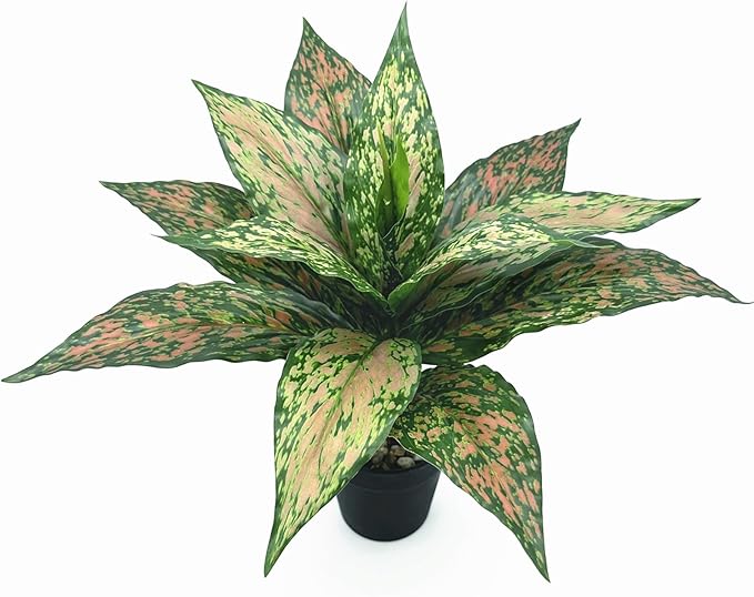 PASYOU Artificial Aglaonema Plants, Green and Pink Variegated 2 Pack, Fake Magnolia Plant Faux Plastic Leaves Shrubs, UV Resistant Greenery, Indoor Outdoor Decor Home Garden Table Decorations – Red