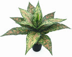PASYOU Artificial Aglaonema Plants, Green and Pink Variegated 2 Pack, Fake Magnolia Plant Faux Plastic Leaves Shrubs, UV Resistant Greenery, Indoor Outdoor Decor Home Garden Table Decorations – Red