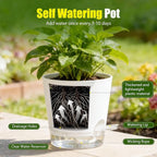Plant Pots 4 Inch Self Watering Pots,6 Pack Plastic Planters with Drainage Holes and Clear Saucers,Plastic Flower Pots,Nursery Planting Pot for Indoor Out Door Plants (White)