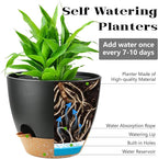5-Pack Plant Pots with Drainage for Winter Care 7/6.5/6/5.5/5 Inch, Self Watering Pots for Indoor Plants, Planters for Indoor Outdoor Plants, Plastic Flower Pot, Planter for Indoor Outdoor (Black)