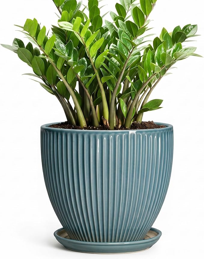 10 Inch Plant Pot, Ceramic Flower Pots with Drainage Hole and Saucer, Round Modern Planters for Indoor Plants, Decorative Plant Pots, Home Patio Decor, Plant Lover Gifts, Glaze Blue