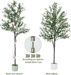 6FT Artificial Olive Tree,Artificial Plants Indoor,Faux Olive Tree Indoor with Natural Wood Trunk and Realistic Leaves and Fruits for Home Office Decor