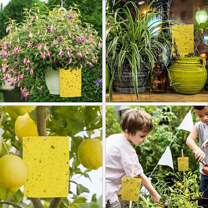Gideal 50-Pack Dual-Sided Yellow Sticky Traps for Flying Plant Insect Fungus Gnats Whiteflies Aphids Leafminers Thrips (6x8 Inches, Included 50pcs Twist Ties)