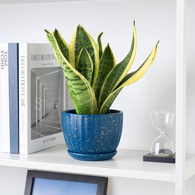 STHIE 4/5/6 Inches Ceramic Plant Pots with Drainage Holes and Saucers, Round Flower Pots for Indoor Plant, Modern Flower Planters Set of 3 (Blue with Dot-Big Size)