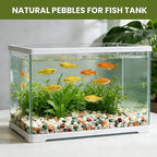 1/8 Inch Natural Aquarium Gravel, Small Pebbles for Fish Tank, Indoor Plants & Succulents, Mixed Color Mini River Rocks for Drainage, Terrarium, Top Dressing & Vase Filler, 3 lb