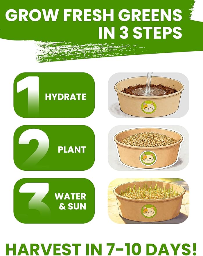 Cat Grass Kit for Indoor Cats, 3 Pack Fast Growing Cat Grass Kit with Eco-Friendly Biodegradable Pots, Soil & Wheatgrass Seeds, Grows in 3-7 Days with High Germination Rate