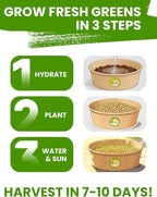 Cat Grass Kit for Indoor Cats, 3 Pack Fast Growing Cat Grass Kit with Eco-Friendly Biodegradable Pots, Soil & Wheatgrass Seeds, Grows in 3-7 Days with High Germination Rate