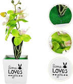 Baluue Artificial Moth Orchid Bonsai Potted Flower, Realistic Simulation Plastic Fake Potted Plant, Green Desktop Home Décor for Living Room and Office