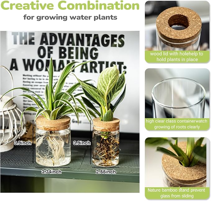 Glass Propagation Stations for Plants -Desktop Flower Vases,Propagation Flower Vases Set – 6 Large & 6 Small for Plant Cuttings，for Living Room, Bedroom Decoration,Home,Office Decor (12)