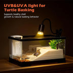 AZV XLarge Turtle Tank Kit,All in One Indoor PC Aquarium,Red Eared Slider Aquatic for Tortoise,Fishes and Amphibians,Include Basking Platform*1,Filter*1,Filter Plates*2,Plants*2,Lamp*1,Bulb*1,Stone*1
