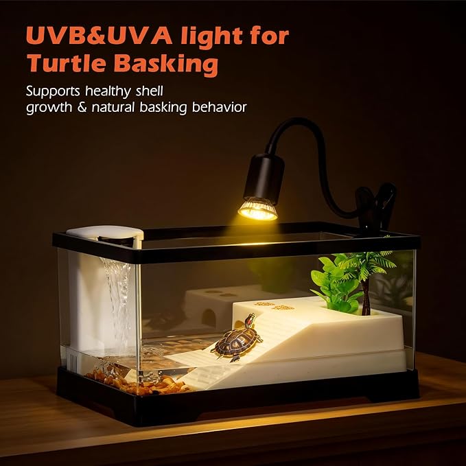 AZV XLarge Turtle Tank Kit,All in One Indoor PC Aquarium,Red Eared Slider Aquatic for Tortoise,Fishes and Amphibians,Include Basking Platform*1,Filter*1,Filter Plates*2,Plants*2,Lamp*1,Bulb*1,Stone*1