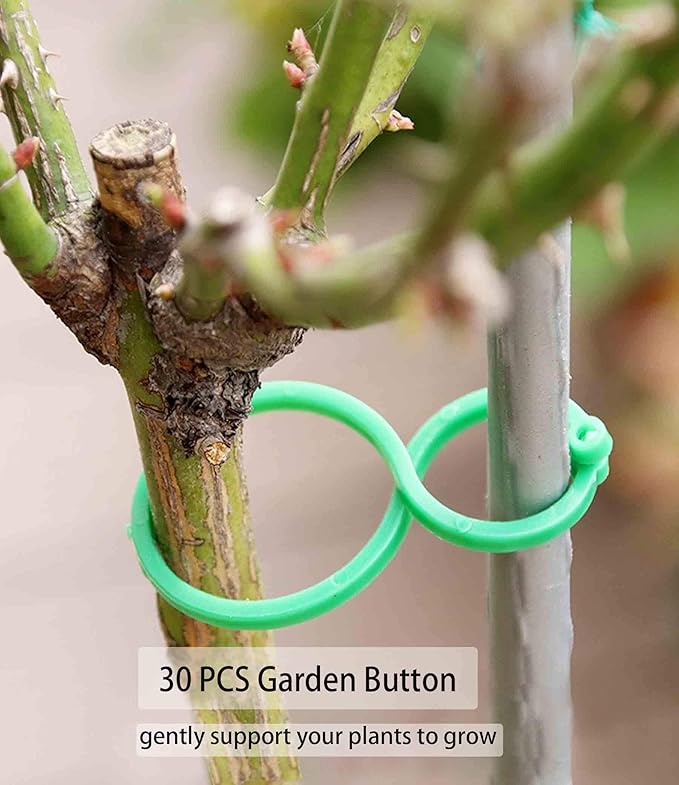 80PCS Plant Climbing Wall Fixture Clips-Plant Clips-Pothos Clips-Vine plant wall clips- Self-Adhesive Plant Fixing Hook for Plant Garden Wall Clip,Sticky Plant Fixing Clip for Decoration