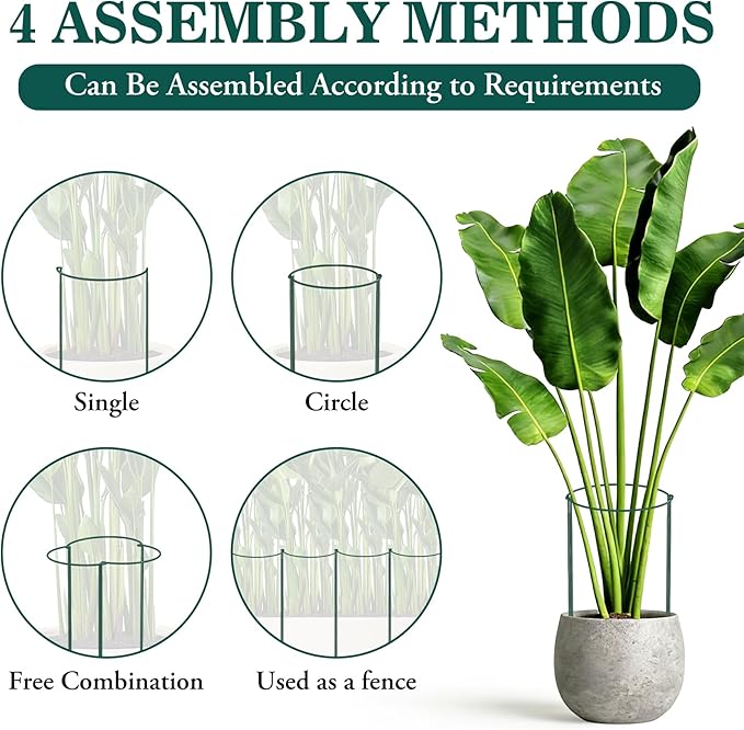 6 Pack Tall Peony Cages and Supports, 10" W x 24" H Heavy Duty Plant Peony Support Cages, Half Round Peonies Ring Metal Plant Stakes for Outdoor Plants, Garden Vegetables & Flowers