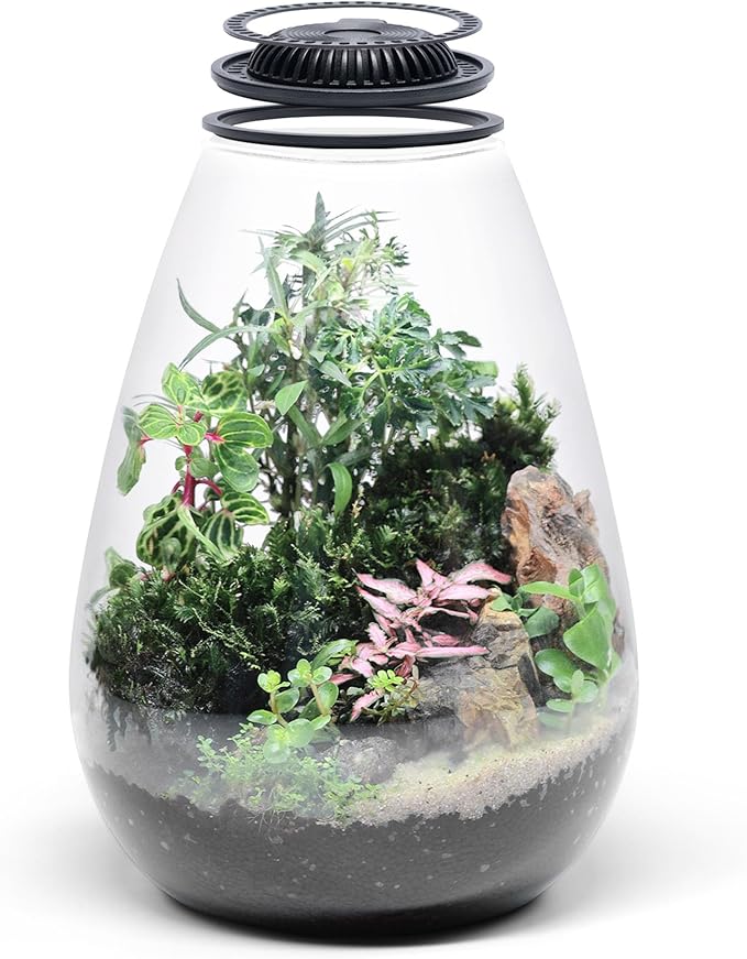 SubstrateSource Bio Cylinder - Glass Plant Terrarium Kit - Glass Terrarium w/LED Grow Light, Adjustable Ventilation Lid, Substrate, Moss & Accent Rocks - Bio Bowl 175