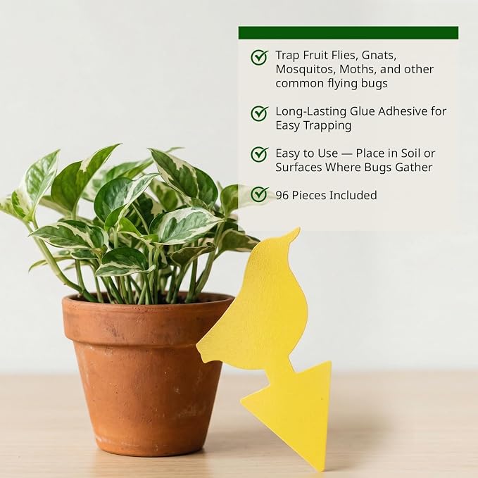 Kate's Home & Garden 96 Count Fruit Fly Traps for Indoors and House. Yellow Sticky Trap for Gnats, Mosquitos, Plants, Ants