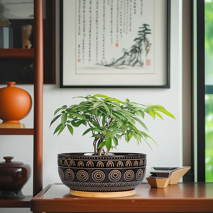 Eightpot Ceramic Bonsai Pots - 8 Inch Plant Pot for Succulent, Round Planter for Indoor Plants, Shallow Planters with Drainage Hole and Tray, Boho Bonsai Bowl, Living Room Decor, Black