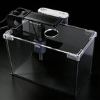 FS&AQ 2.5 Gallon Betta Fish Tank with Filter Light and Lid Small Aquarium Starter Kit Perfect for Desktops Offices or Beginners