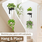 LASZOLA Plant Hangers Shelves Wall Mounted Indoor, Metal Window Plant Holders, 4Pcs Modern Floating Flower Display Stand with 4 Hooks for Outdoor Kitchen Bathroom Decor, Black