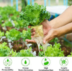 Legigo 1 Inch Rockwool Cubes Seed Starter Plugs for Hydroponics, RockWool Planting Grow Cubes for Hydroponic Tower Garden Soilless Cultivation Plants Germination Cutting Clone (2 Sheet, 100 Plugs)