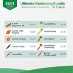 10 Carrot & 15 Lettuce Seeds Variety Pack Bundle, 25,325+ Non-GMO Heirloom Garden Seeds for Planting Carrots and Leafy Greens for Indoor & Outdoor Gardening