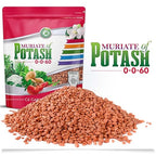 Muriate of Potash 0-0-60 Fertilizer Made in USA - MOP Potassium Plant Food for Indoor/Outdoor Plants, Flower Gardens, Fruit and Vegetable Gardens, Holistic Herbs, Trees and Lawns!