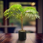 20'' Lighted Palm Tree Faux Plant with LED Lights - USB & Battery Box Powered - Artificial Palm Tree for Living Room, Home Decor, Indoor Decoration (Palm Leaf)